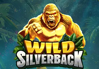 Wild Silverback