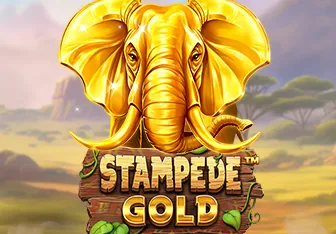 Stampede Gold